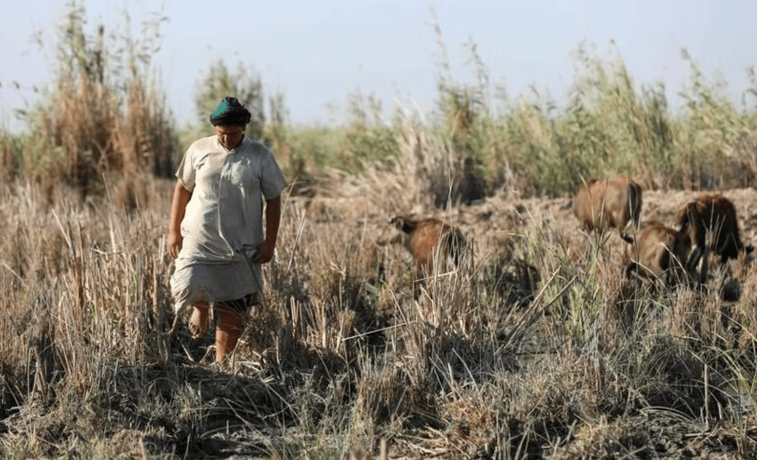 A focus on livelihoods will be one of the four pillars of Cop28. AFP