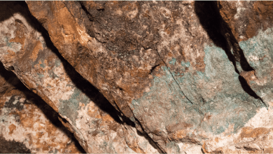Massive sulphides at Buxton’s Dogleg