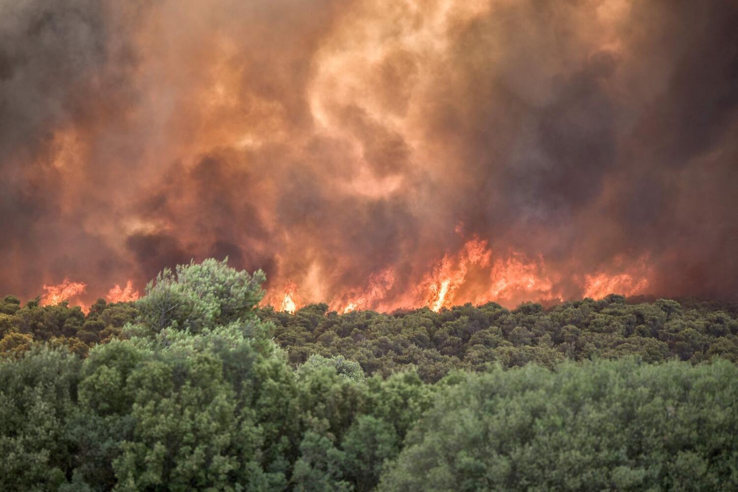 COP28 in UAE- What's the plan for this year's climate summit? Source: Khaleejtimes.com