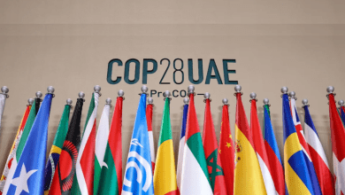 AFTER COP28, NATURE IS FIRMLY ON THE CLIMATE AGENDA Source: Unep-wcmc.org