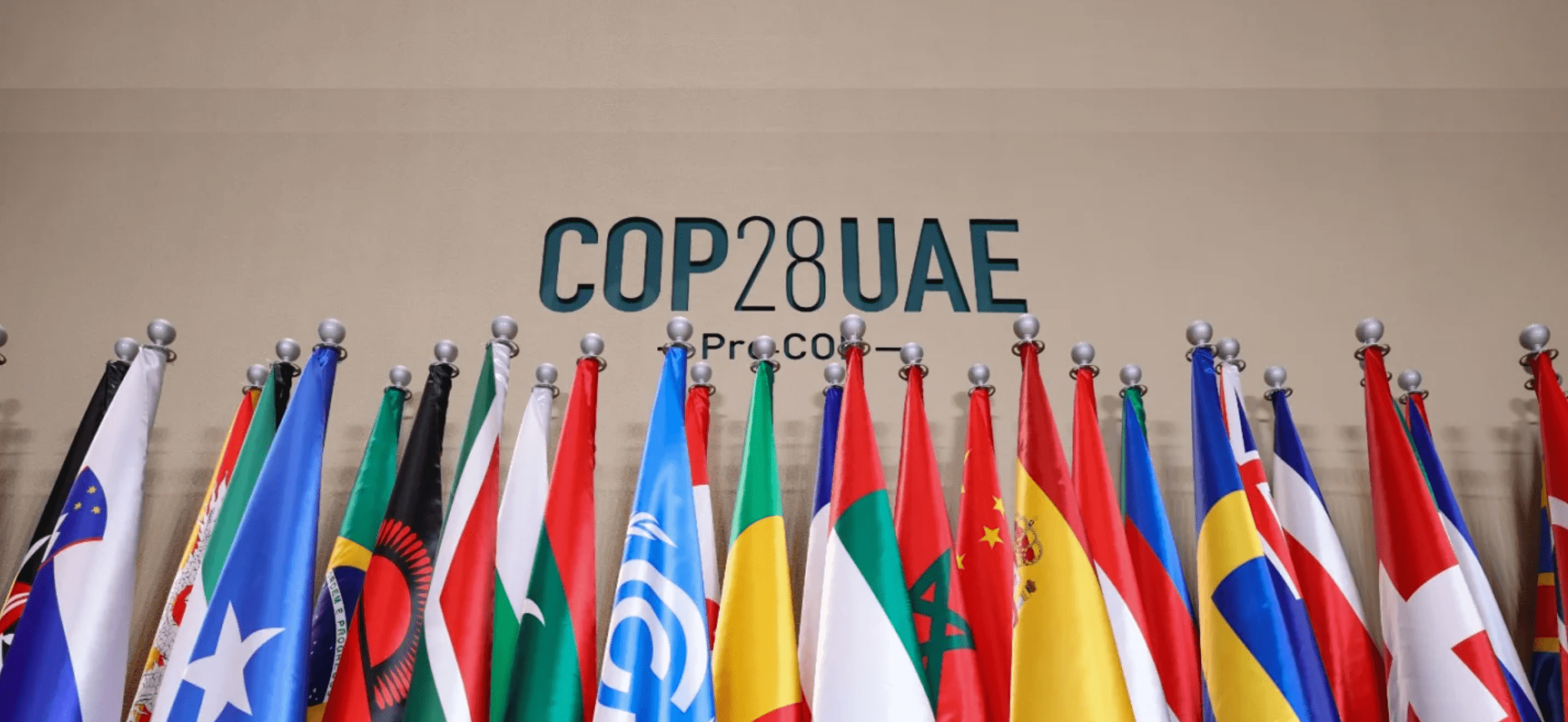 AFTER COP28, NATURE IS FIRMLY ON THE CLIMATE AGENDA Source: Unep-wcmc.org