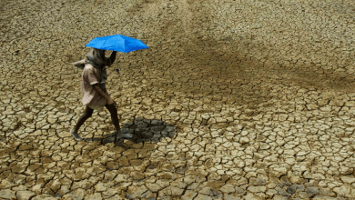 Climate Loss and Damages COP28 - FILE - A villager holding umbrella to protect himself from sun, walks over parched land on the outskirts of Bhubaneswar, India on May 2, 2009. Tense negotiations at the final meeting on a climate-related loss and damages fund — an international fund to help poor countries hit hard by a warming planet — ended Saturday, Nov. 4, 2023, in Abu Dhabi, with participants agreeing that the World Bank would temporarily host the fund for the next four years.(AP Photo/Biswaranjan Rout, File)