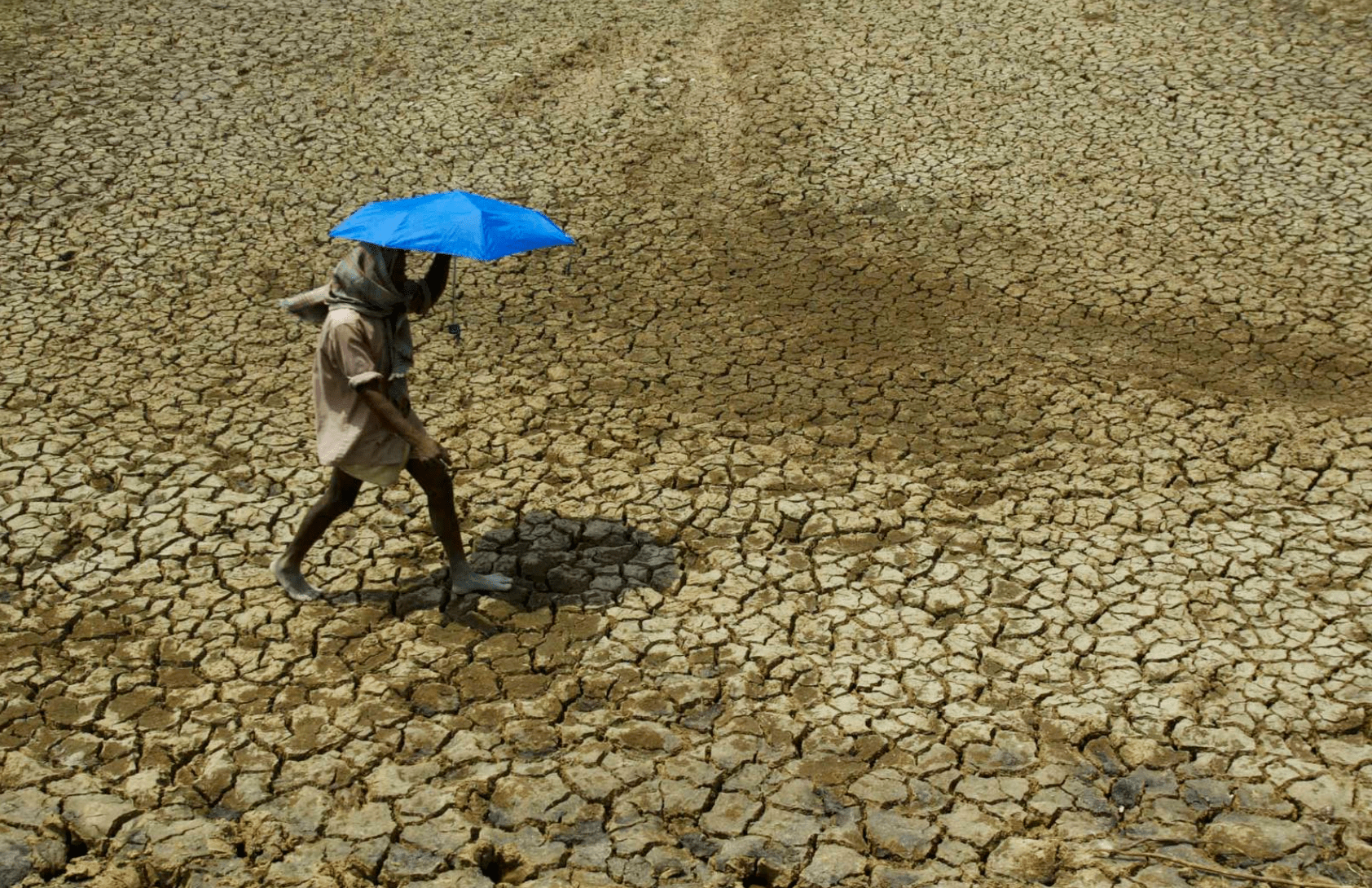 Climate Loss and Damages COP28 - FILE - A villager holding umbrella to protect himself from sun, walks over parched land on the outskirts of Bhubaneswar, India on May 2, 2009. Tense negotiations at the final meeting on a climate-related loss and damages fund — an international fund to help poor countries hit hard by a warming planet — ended Saturday, Nov. 4, 2023, in Abu Dhabi, with participants agreeing that the World Bank would temporarily host the fund for the next four years.(AP Photo/Biswaranjan Rout, File)