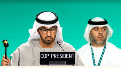 COP28 DELIVERS HISTORIC CONSENSUS IN DUBAI TO ACCELERATE CLIMATE ACTION Source: Cop28.com