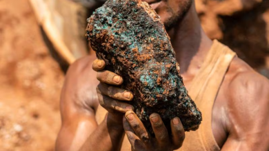 Cobalt, a mineral in demand for the energy transition industry, is mostly found on culturally significant land for indigenous communities. AFPCobalt, a mineral in demand for the energy transition industry, is mostly found on culturally significant land for indigenous communities. AFP Source: Thenationalnews.com
