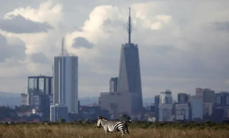 The Nairobi skyline is seen in the background as a zebra walks through the Nairobi National Park, near Nairobi, Kenya, December 3, 2018. REUTERS/Amir Cohen